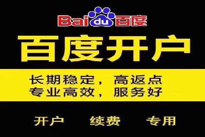 SEM代理助力品牌：案例解析，优化策略全揭秘
